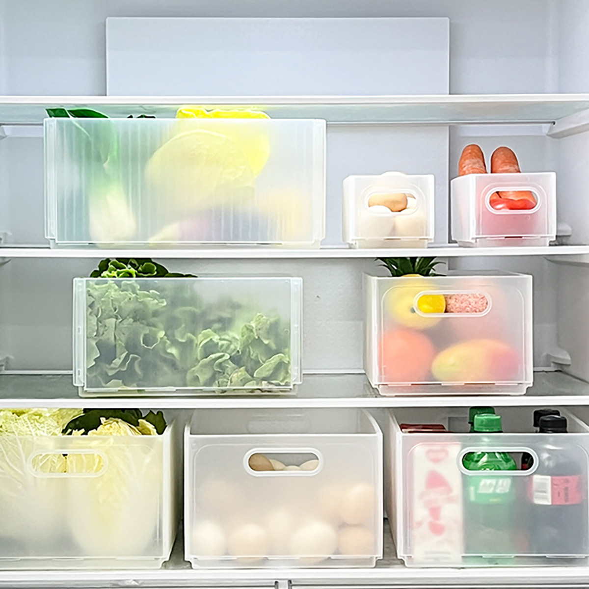 صندوق تخزين الثلاجة البلاستيكي - مراجعة Commercial Kitchen Organiser وسعره