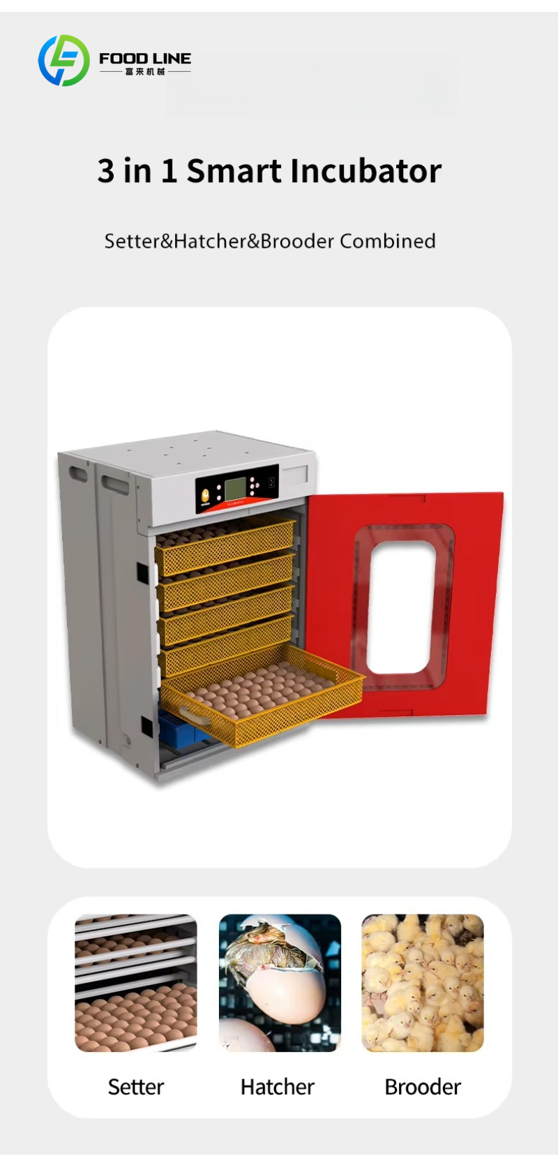 حاضنة بيض جديدة للسمان والدجاج - مراجعة Rotary Bakery Oven وسعره